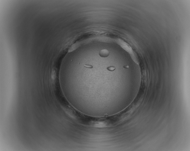 X0000112950412200908241346