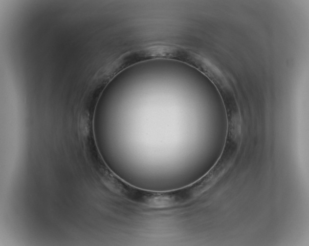 X0000112950413200908241346