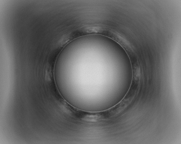 X0000112950414200908241346