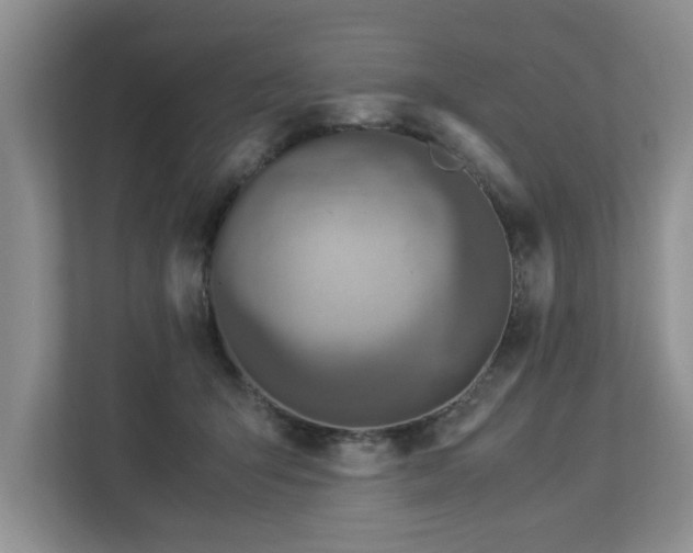 X0000112950415200908241346