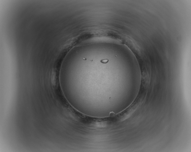 X0000112950416200908241346