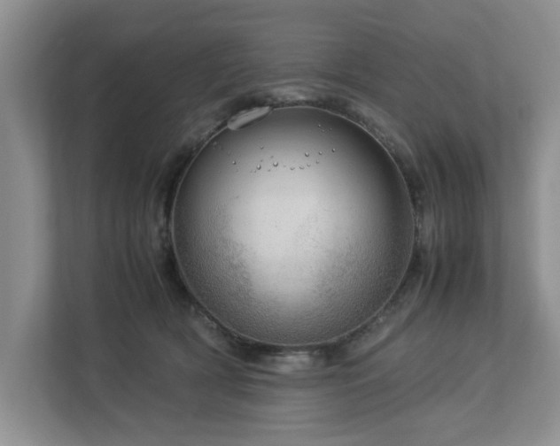 X0000112950418200908241346