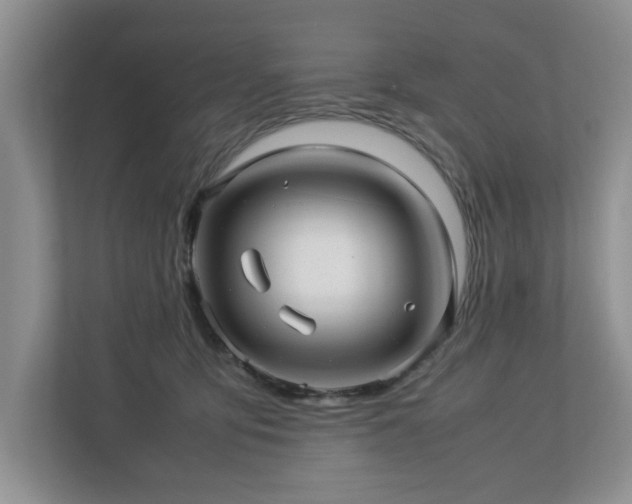 X0000112950419200908241346