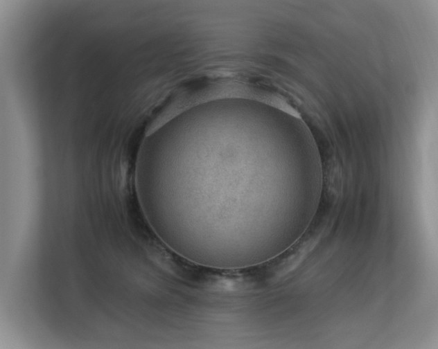 X0000112950420200908241346