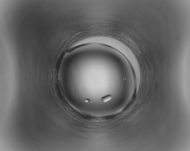 X0000112950421200908241346