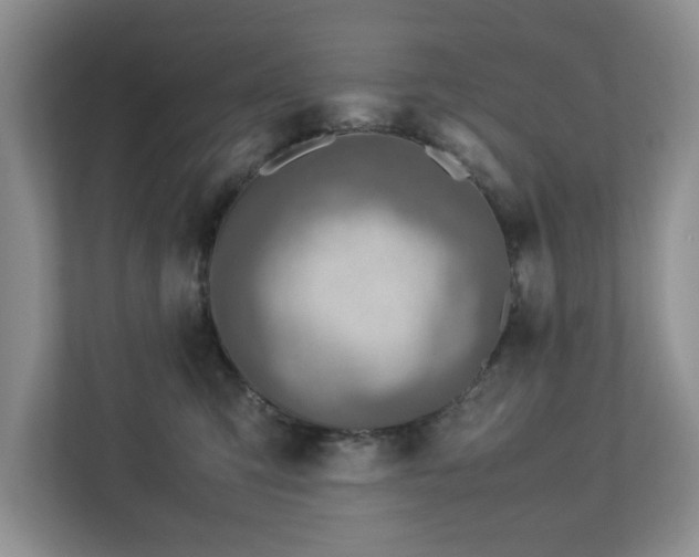 X0000112950423200908241346