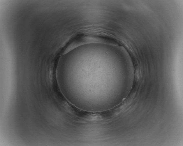 X0000112950424200908241346