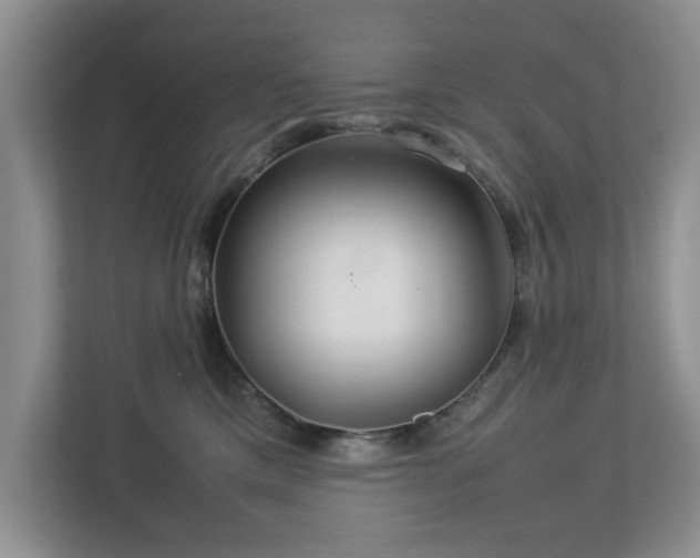 X0000112950425200908241346