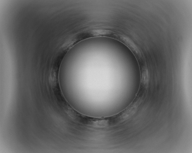 X0000112950426200908241346