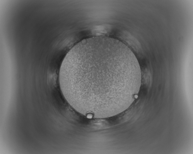 X0000112950427200908241346