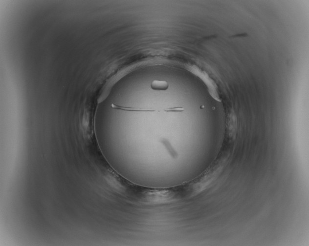 X0000112950428200908241346