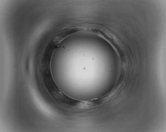 X0000112950429200908241346