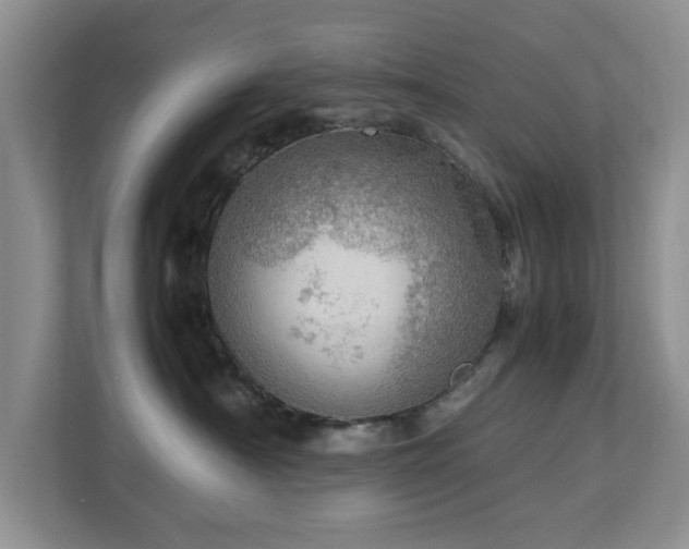 X0000112950430200908241346