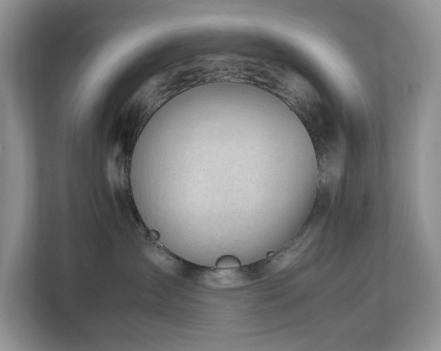 X0000112950431200908241346