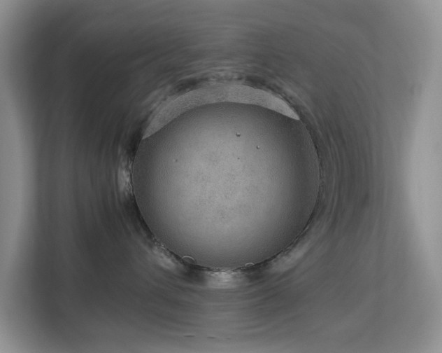 X0000112950432200908241346