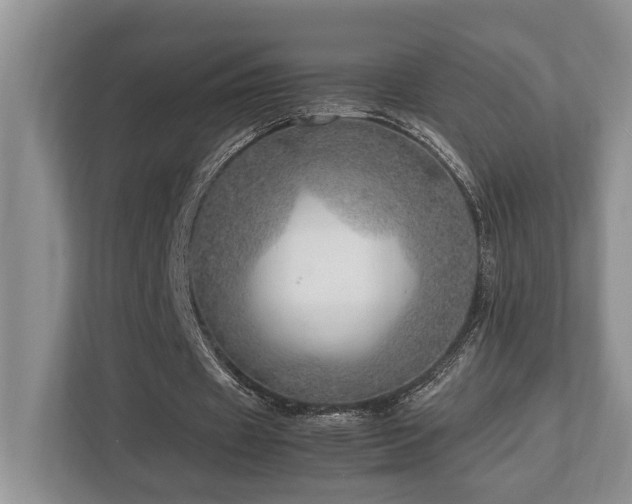 X0000112950433200908241346