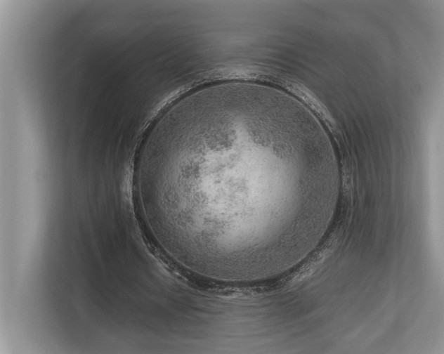 X0000112950434200908241346