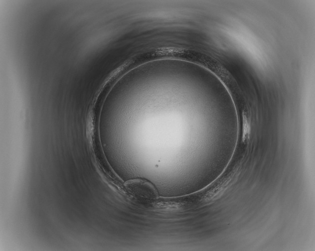 X0000112950435200908241346