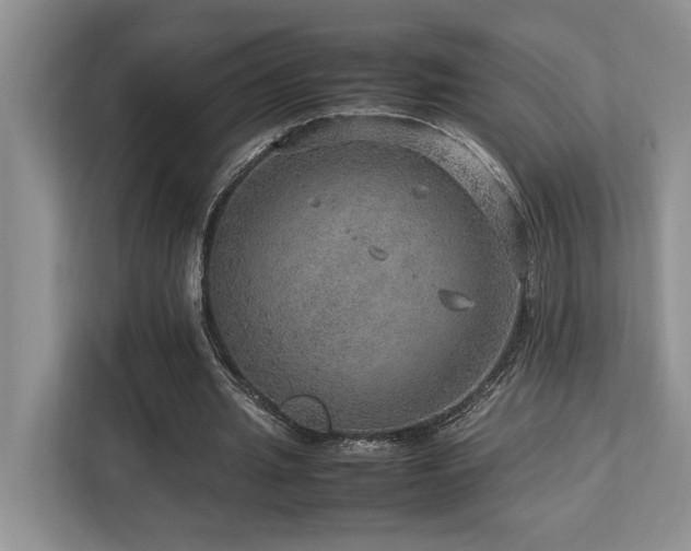 X0000112950437200908241346