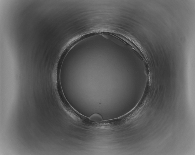 X0000112950438200908241346