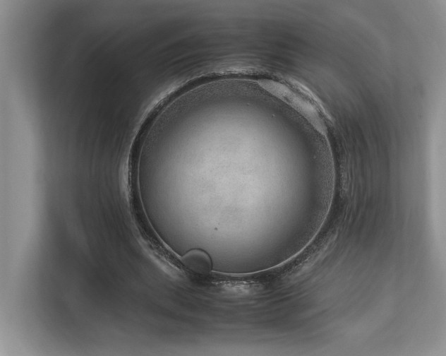 X0000112950439200908241346