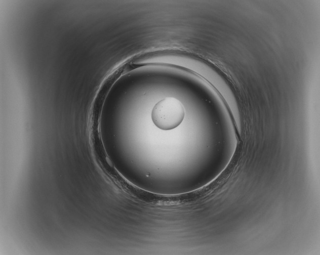 X0000112950440200908241346