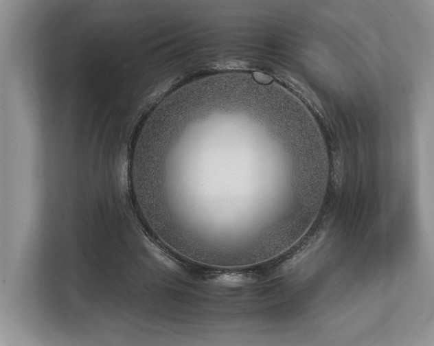 X0000112950441200908241346