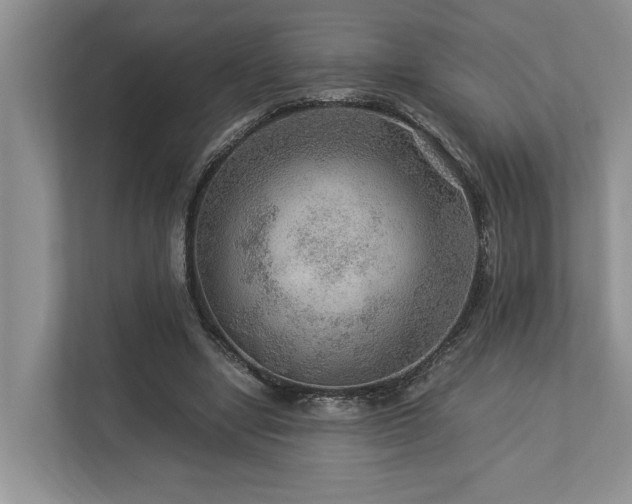 X0000112950442200908241346