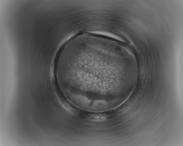 X0000112950443200908241346