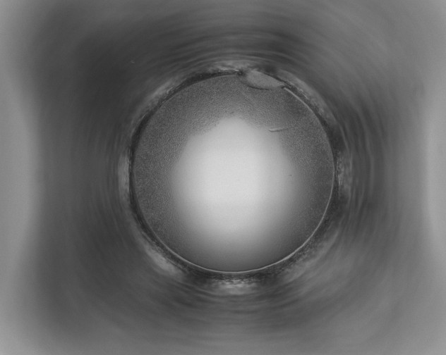 X0000112950445200908241346