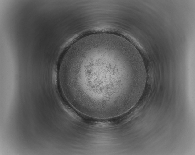 X0000112950446200908241346