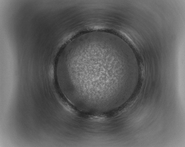 X0000112950447200908241346