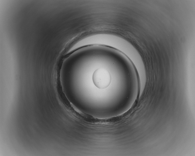 X0000112950448200908241346