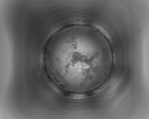 X0000112950449200908241346