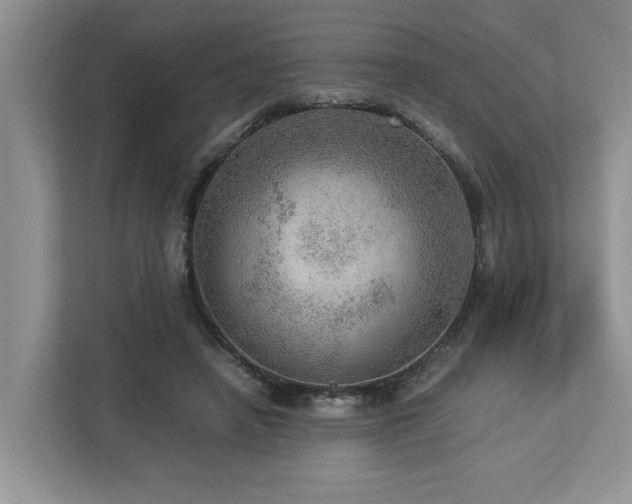 X0000112950450200908241346