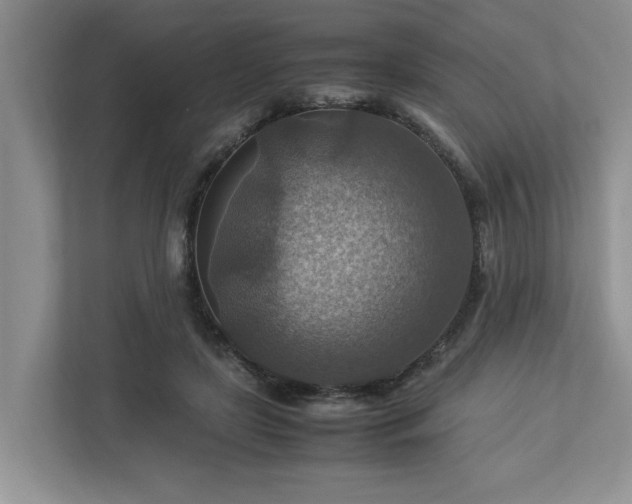 X0000112950451200908241346