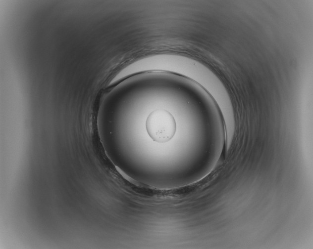 X0000112950452200908241346