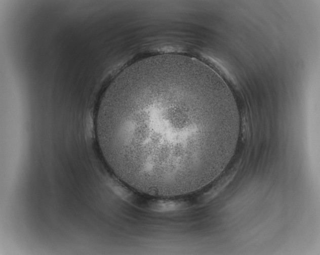 X0000112950453200908241346