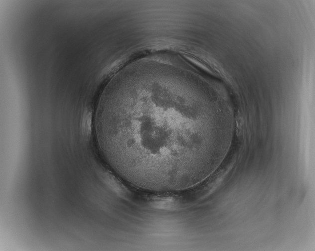 X0000112950454200908241346