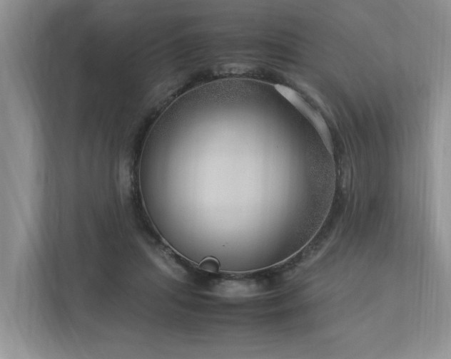 X0000112950455200908241346