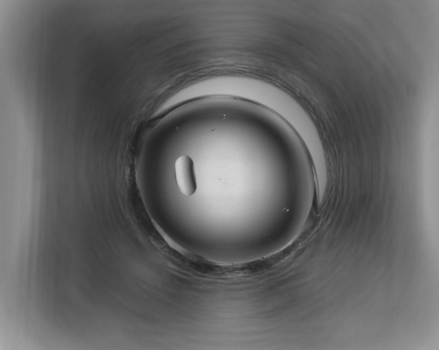 X0000112950456200908241346