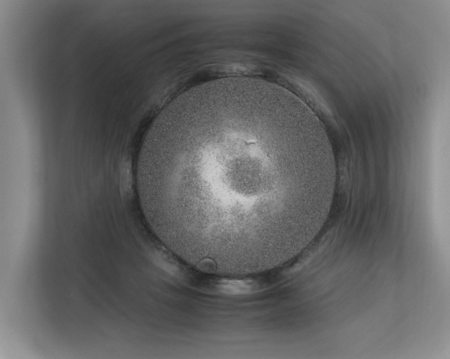 X0000112950457200908241346