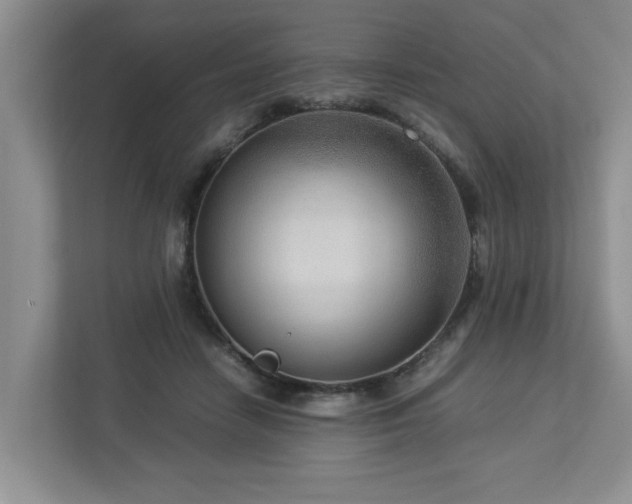 X0000112950458200908241346