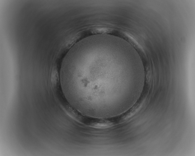 X0000112950459200908241346