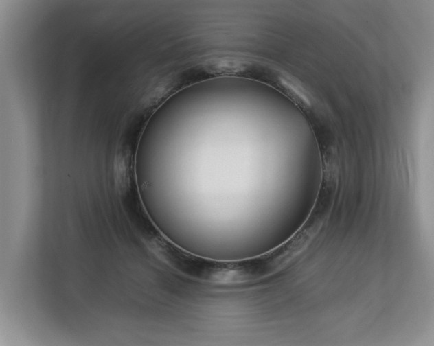 X0000112950460200908241346