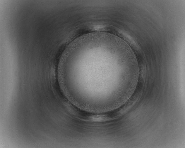 X0000112950461200908241346