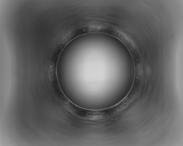 X0000112950463200908241346