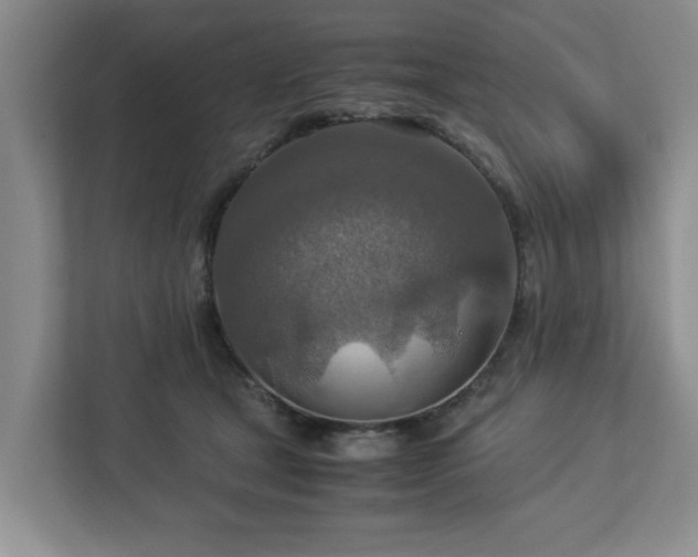 X0000112950465200908241346