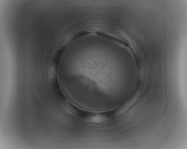 X0000112950467200908241346