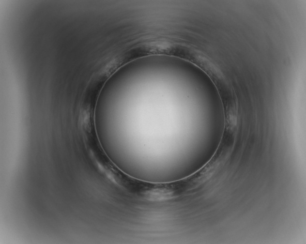 X0000112950468200908241346